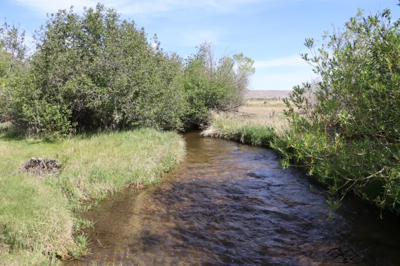 CLARK WYOMING HOME WITH CREEK FRONTAGE #57