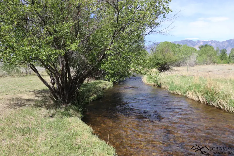 CLARK WYOMING HOME WITH CREEK FRONTAGE #59