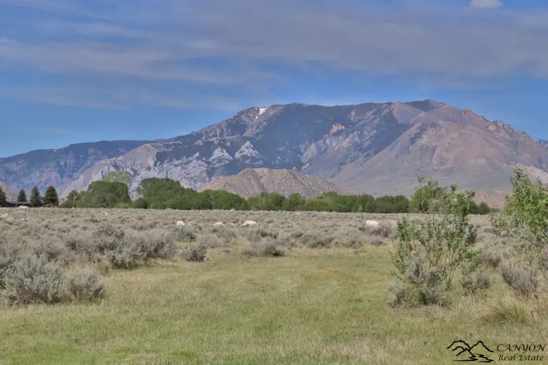 CLARK WYOMING HOME WITH CREEK FRONTAGE #60