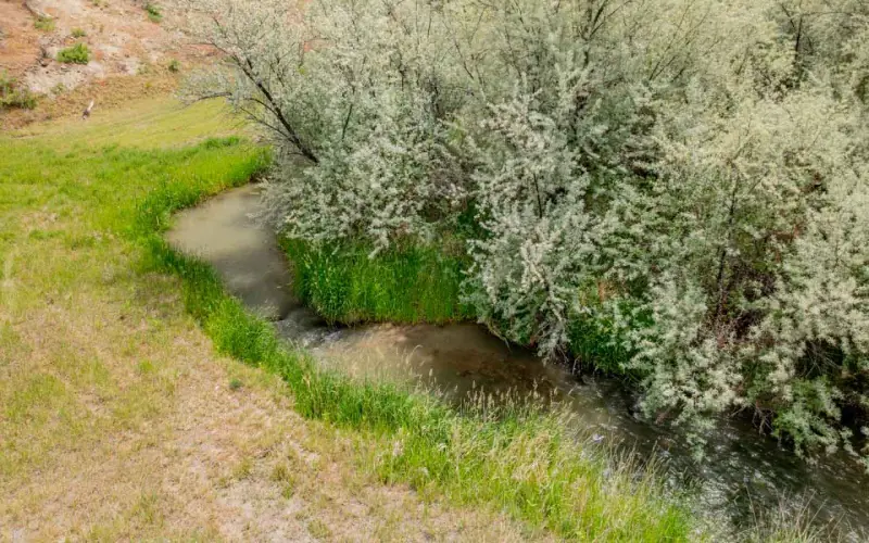 BASIN WYOMING HOME WITH  CREEK #55