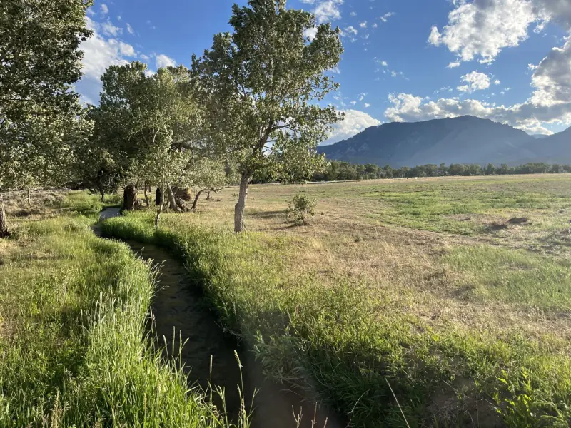 vacant land with creek