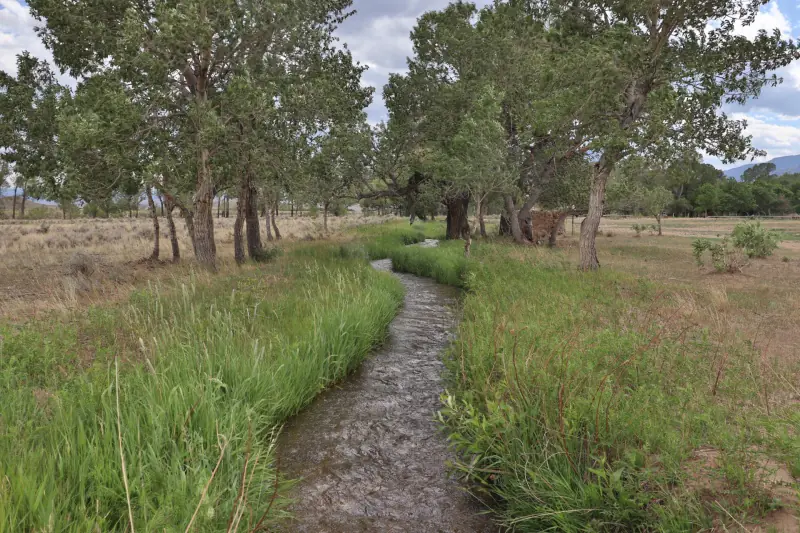 21 ACRES FOR SALE WITH CREEK CLARK WYOMING #2