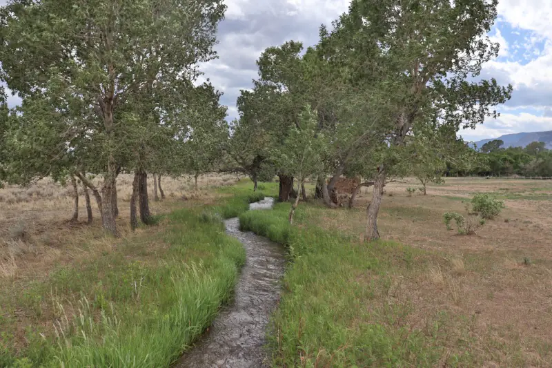 21 ACRES FOR SALE WITH CREEK CLARK WYOMING #3