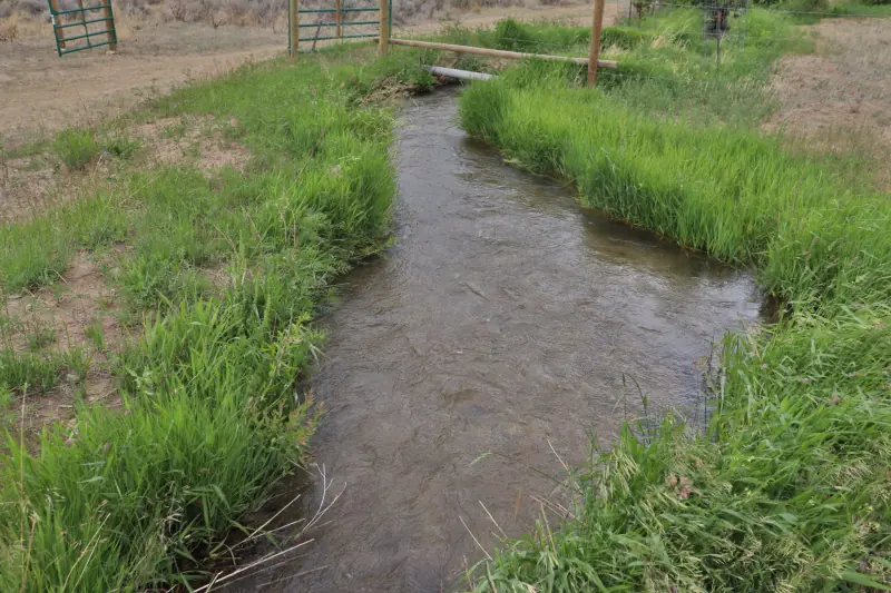 21 ACRES FOR SALE WITH CREEK CLARK WYOMING #4
