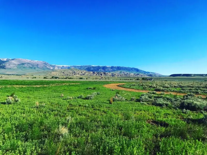 21 ACRES FOR SALE WITH CREEK CLARK WYOMING #5