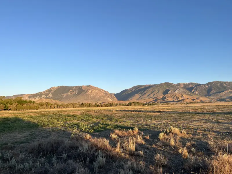 21 ACRES FOR SALE WITH CREEK CLARK WYOMING #6