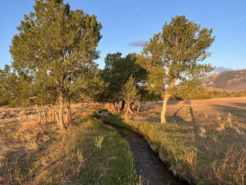 21 ACRES FOR SALE WITH CREEK CLARK WYOMING #7