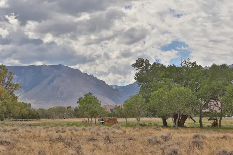 21 ACRES FOR SALE WITH CREEK CLARK WYOMING #11