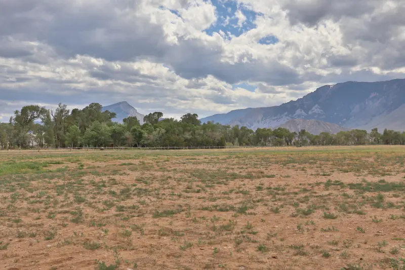 21 ACRES FOR SALE WITH CREEK CLARK WYOMING #13