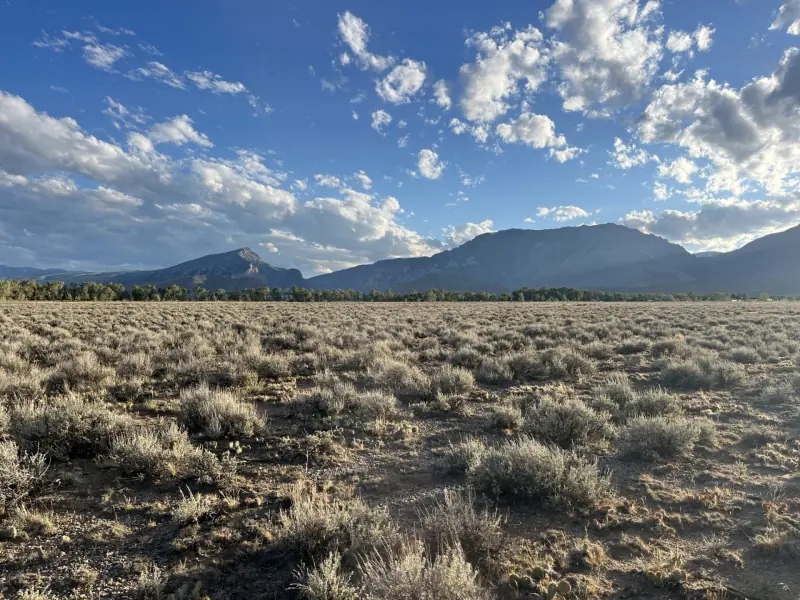 20 ACRES FOR SALE CLARK WYOMING #2