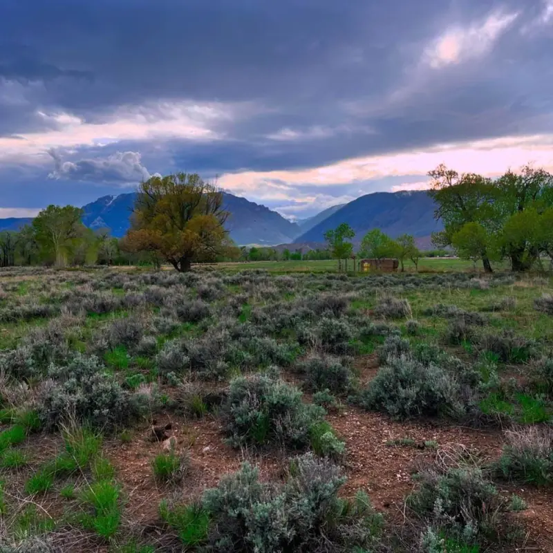 20 ACRES FOR SALE CLARK WYOMING #4