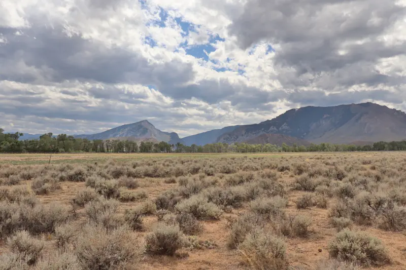 20 ACRES FOR SALE CLARK WYOMING #7