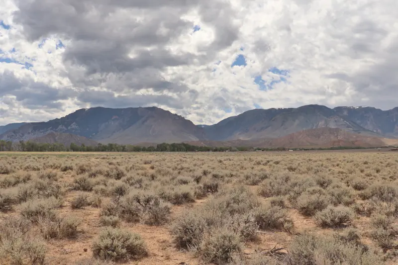 20 ACRES FOR SALE CLARK WYOMING #8