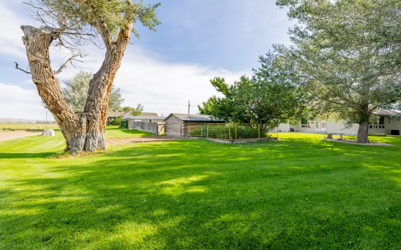 MULTI FAMILY COUNTRY ESTATE POWELL WYOMING #79