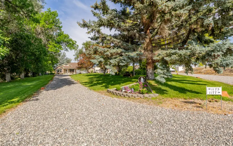 MULTI FAMILY COUNTRY ESTATE POWELL WYOMING #103