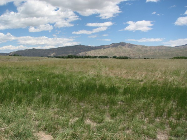 vacant land for sale wyoming