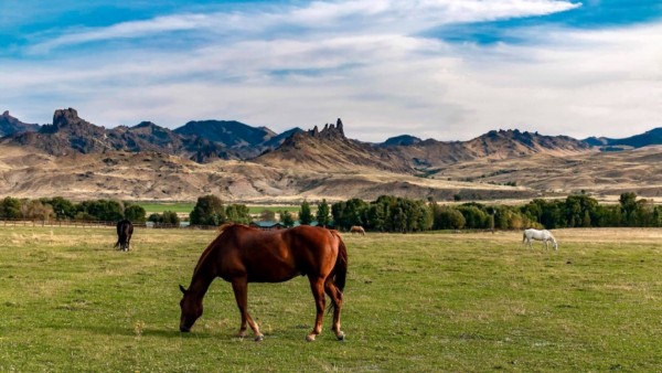 Northern Wyoming Land For Sale Canyon Real Estate Cody Wyoming