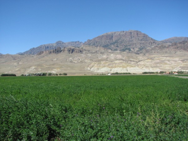 vacant land for sale cody wyoming