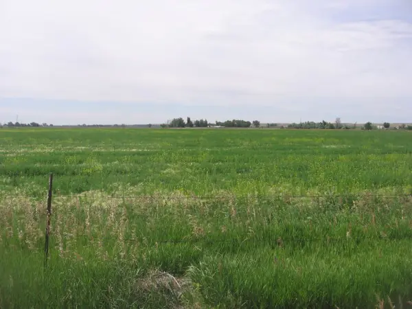 vacant land for sale greybull wyoming