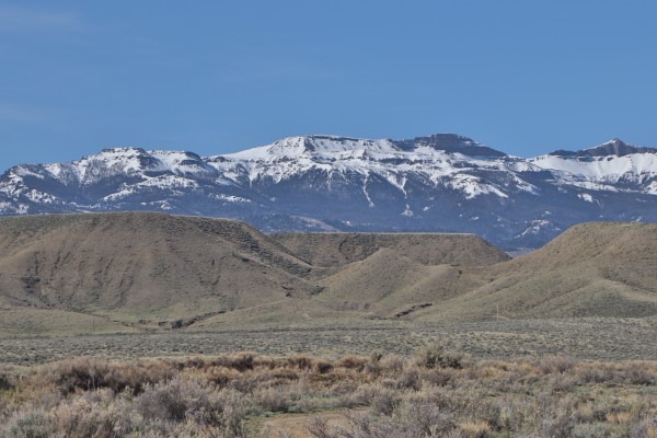 homes for sale cody wyoming