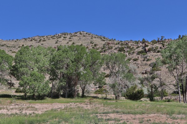 vacant land for sale Cody Wyoming