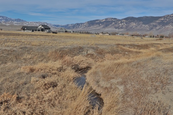 vacant land for sale cody wyoming