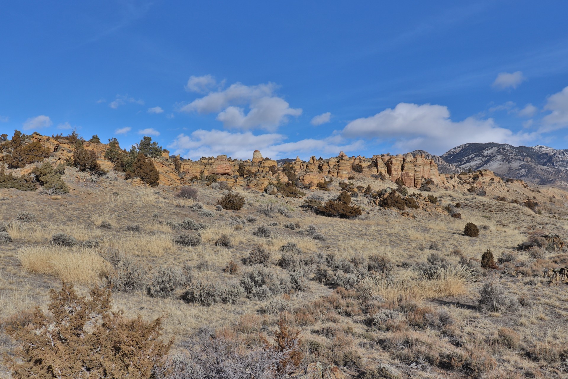 2185 Beaver Creek Road, Shell, WY Residential With Acreage Ranch