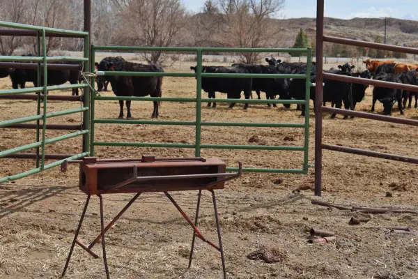 138 ACRE RANCH FOR SALE POWELL WYOMING #21