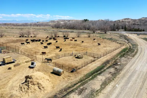 138 ACRE RANCH FOR SALE POWELL WYOMING #22