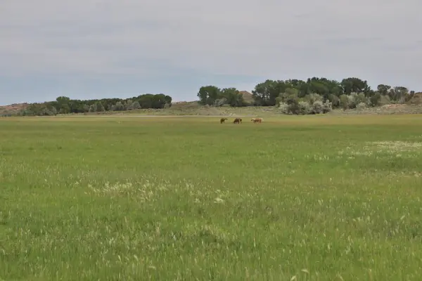 138 ACRE RANCH FOR SALE POWELL WYOMING #25