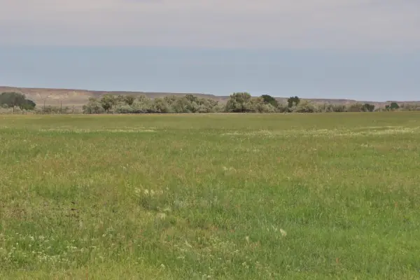 138 ACRE RANCH FOR SALE POWELL WYOMING #26