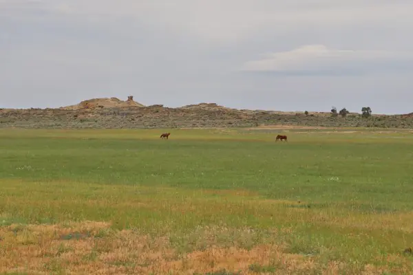 138 ACRE RANCH FOR SALE POWELL WYOMING #27