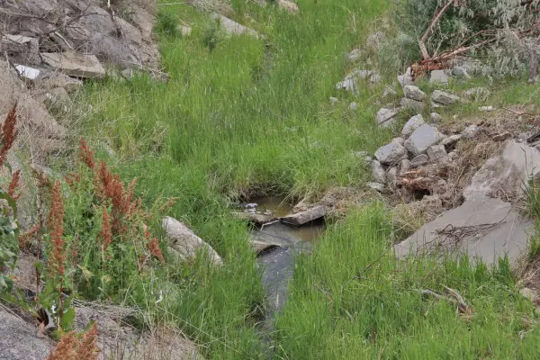 138 ACRE RANCH FOR SALE POWELL WYOMING #23