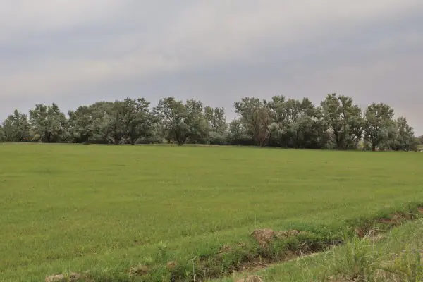 138 ACRE RANCH FOR SALE POWELL WYOMING #29