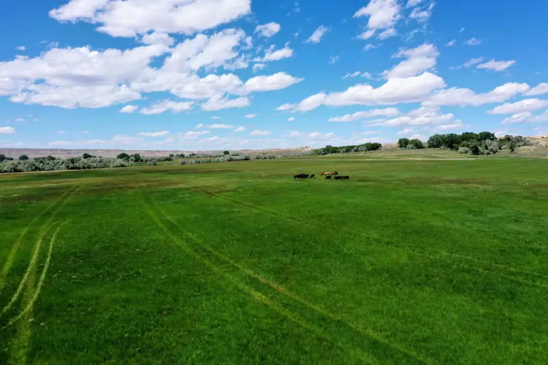 138 ACRE RANCH FOR SALE POWELL WYOMING #43