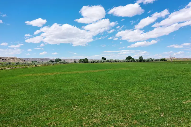 138 ACRE RANCH FOR SALE POWELL WYOMING #49