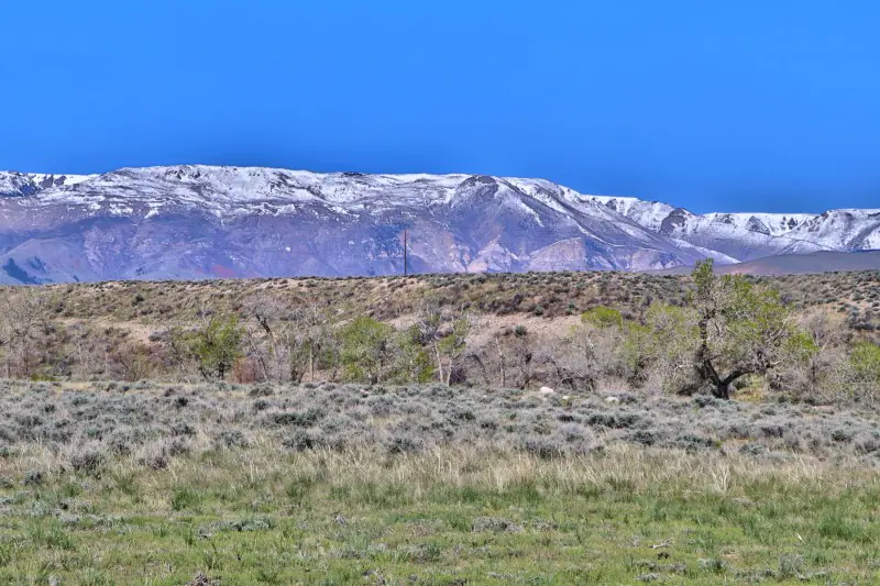 WY MT 45 Ranch #43