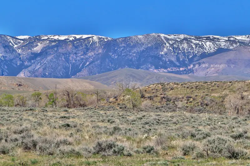 WY MT 45 Ranch #44
