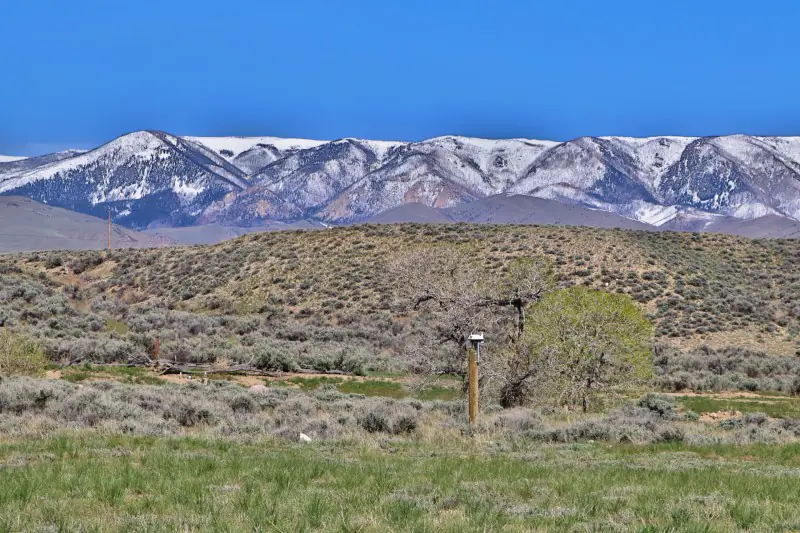 WY MT 45 Ranch #45