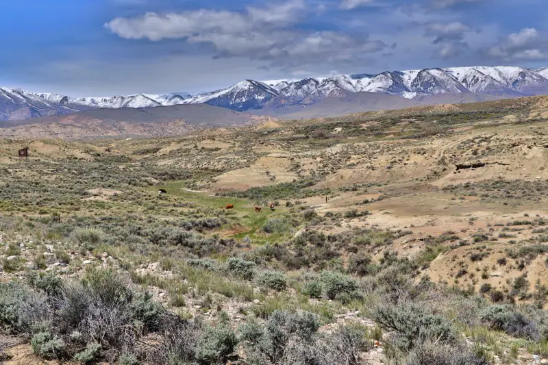 WY MT 45 Ranch #52