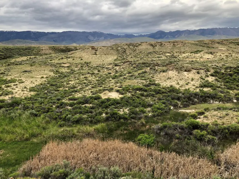 WY MT 45 Ranch #56