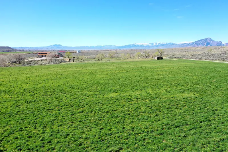 WY MT 45 Ranch #60