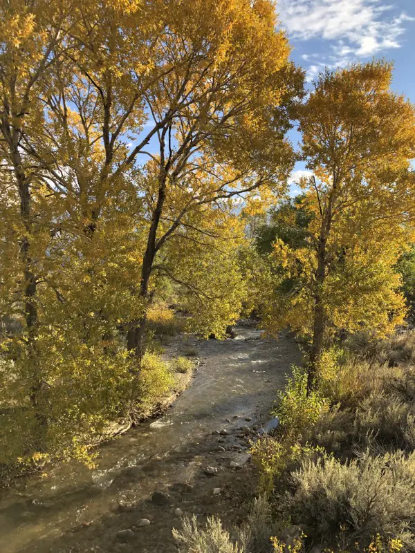 WY MT 45 Ranch #71