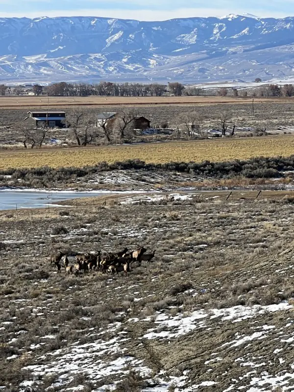WY MT 45 Ranch #75