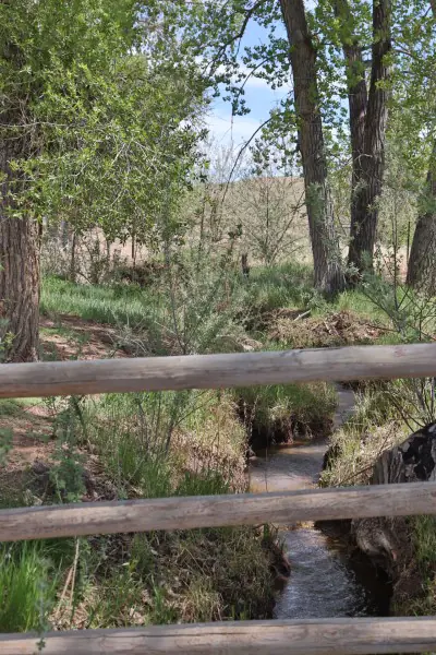 GREYBULL WYOMING LOG SIDED HOME ON 40 ACRES #54