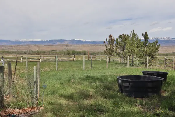 GREYBULL WYOMING LOG SIDED HOME ON 40 ACRES #55