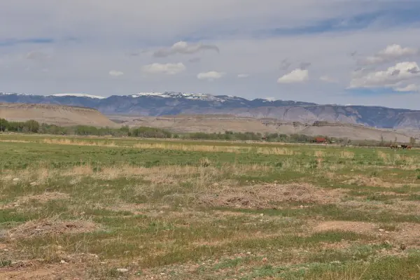 GREYBULL WYOMING LOG SIDED HOME ON 40 ACRES #59