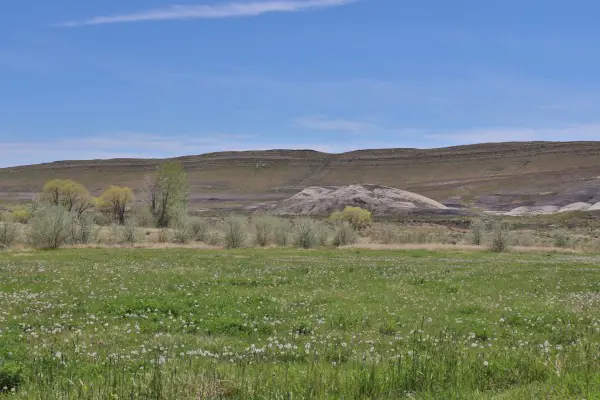 GREYBULL WYOMING LOG SIDED HOME ON 40 ACRES #60