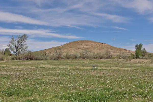 GREYBULL WYOMING LOG SIDED HOME ON 40 ACRES #61