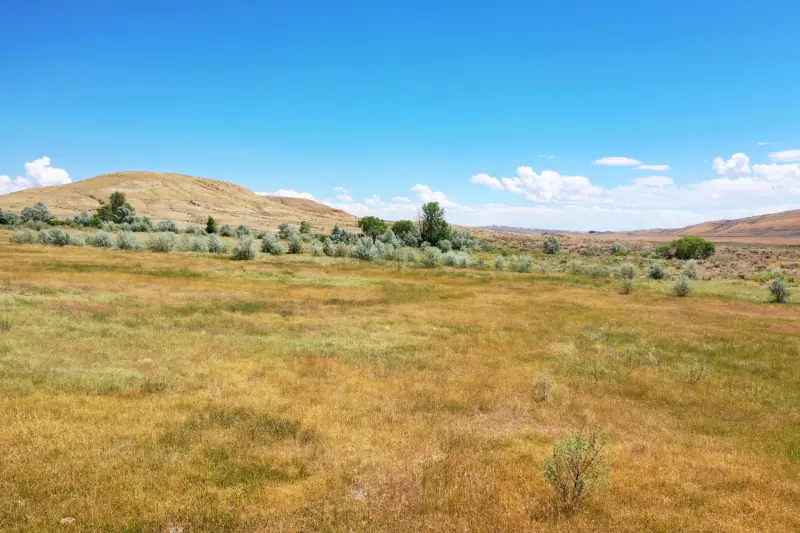 GREYBULL WYOMING LOG SIDED HOME ON 40 ACRES #72